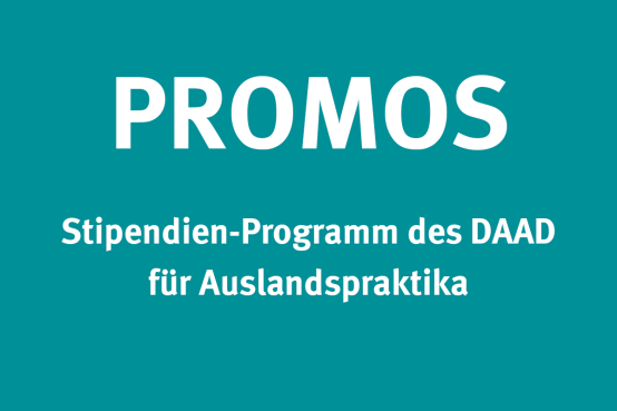 PROMOS-Stipendien Für Praktika Außerhalb Europas