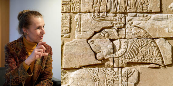 Bild News Interview Lohwasser