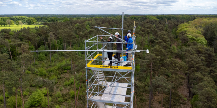The research team installed measuring equipment on a 30-metre-high tower in the Lüntener Wald.<address>© Uni MS - Johannes Wulf</address>