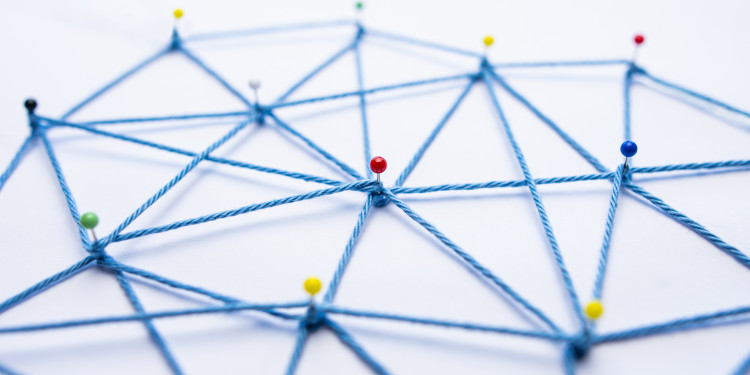 A team from the fields of psychology, biology, sociology, economics, and philosophy is researching individual differences in social behavior in humans and animals.<address>© mpix-foto – stock.adobe.com</address>