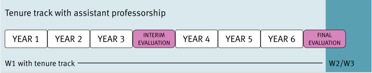 Tenure track model