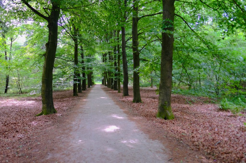 De Hoge Veluwe und das KröllerMüller Museum HINTERM