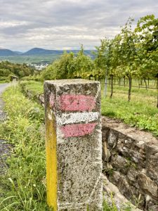 Am Wegesrand in den Weinbergen 