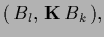 $\displaystyle (\,B_l,\, {{\bf K}}\,B_k\,),$