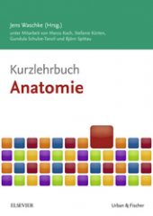 Anatomie duale reihe pdf kostenlos