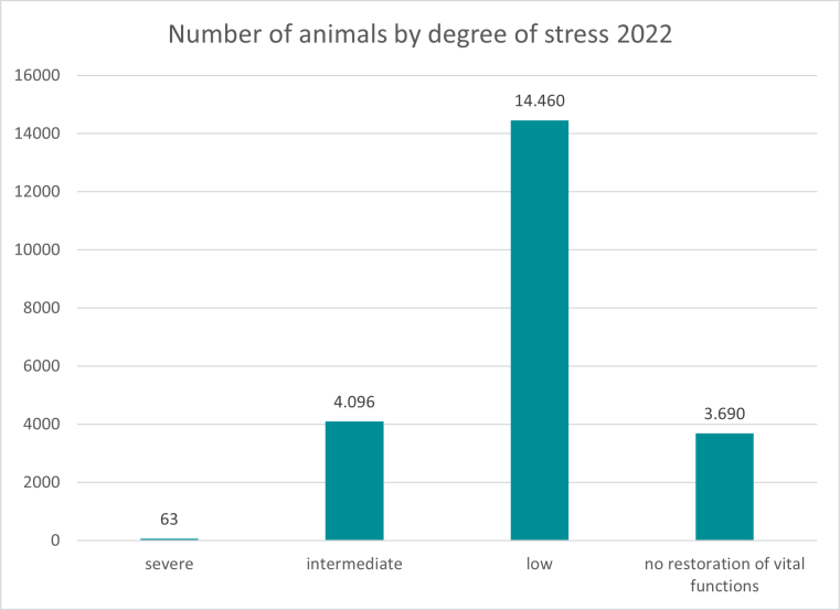 The chart shows the severity of the animal experiments carried out in 2022 depending on the laboratory animal. 