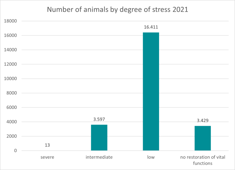 The chart shows the severity of the animal experiments carried out in 2021 depending on the laboratory animal. 
