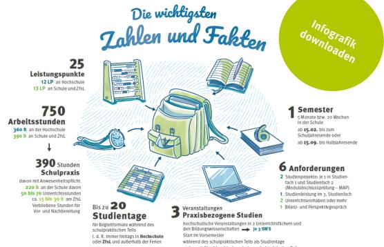 Download der Infografik zum Praxissemester