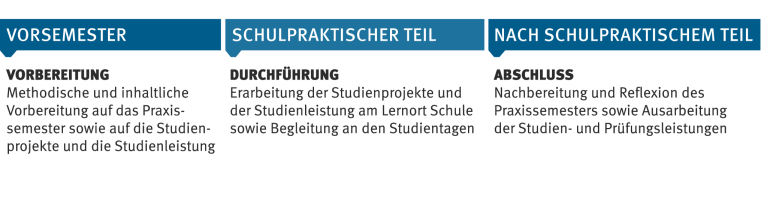 Im Vorsemester erfolgt die inhaltliche und methodische Vorbereitung in den Praxisbezogenen Studien. Im schulpraktischen Teil erfolgt die Erarbeitung der Studienprojekte und der Studienleistung. Zum Abschluss erfolgt die Nachbereitung und Reflexion sowie die Erbringung der Prüfungs- und Studienleistungen.