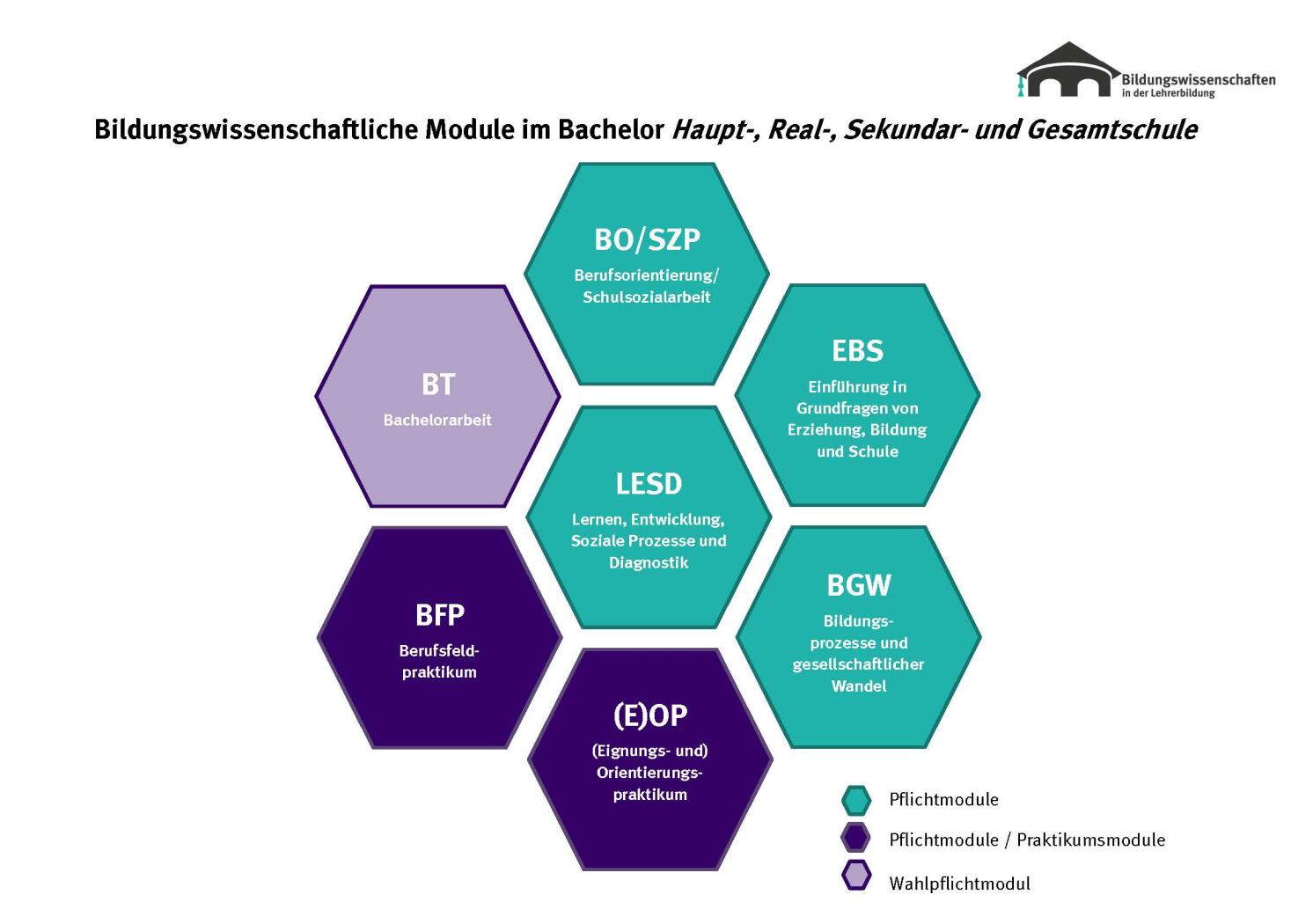 Bachelor Haupt-, Real- Und Gesamtschule (HRGe) Bildungswissenschaften ...