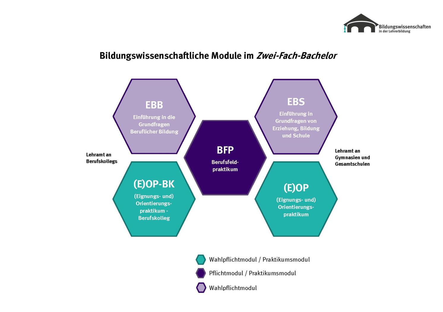 Zwei-Fach-Bachelor Bildungswissenschaften Universität Münster