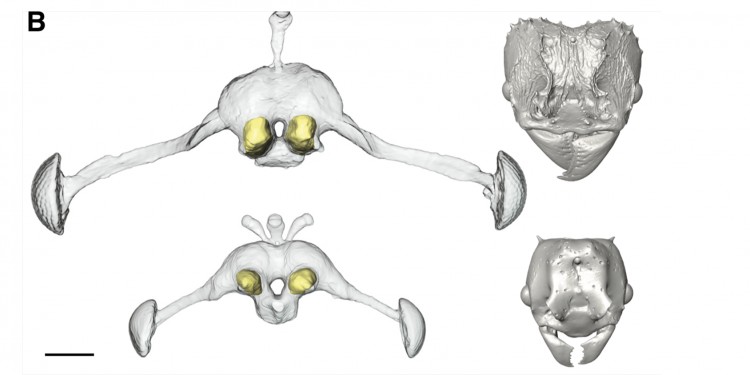 Homepage Of The Faculty Of Biology