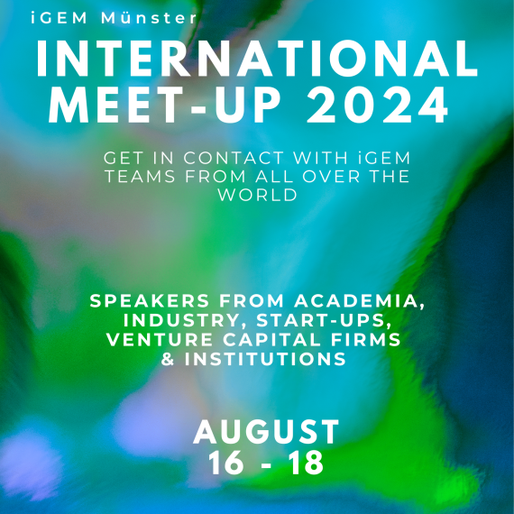 international meet-up-24 -hochkant