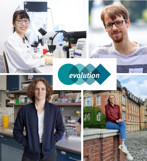 Dossier Evolution Mgse Phd Students