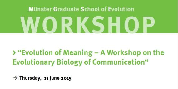 Flyer Workshop Evolution Of Meaning 