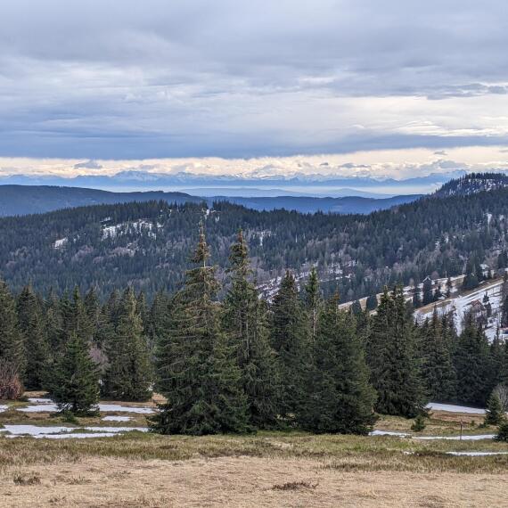 Landschaft mit Bergen 