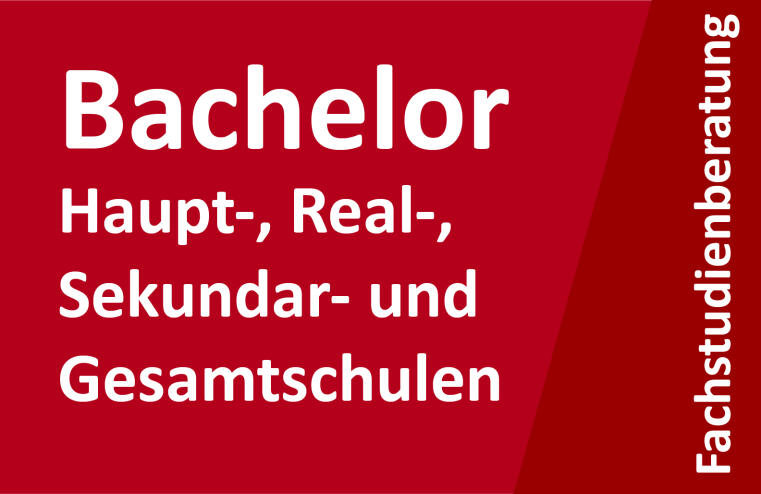 Bachelor Haupt-, Real-, Sekundar und Gesamtschulen