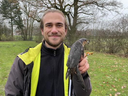 Student with Eurasian sparrowhawk