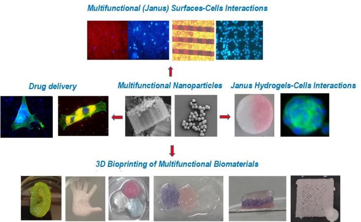 Functional Nanobiomaterials For Controlled Cell-Material Interactions