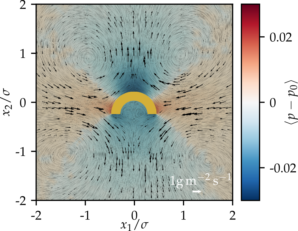 Theory Of Active Soft Matter