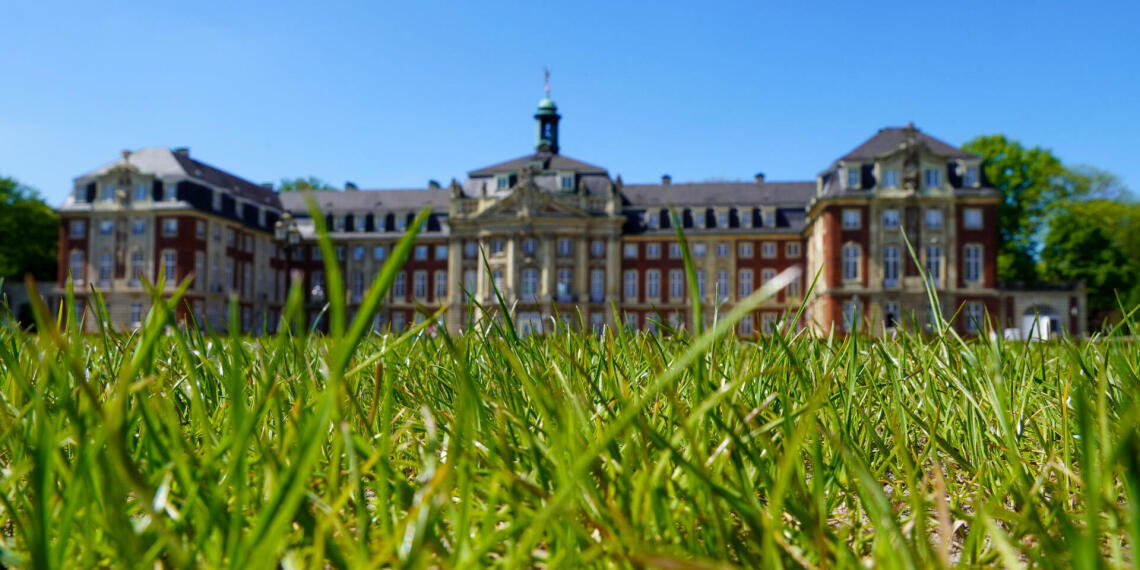 University Of Münster Profile