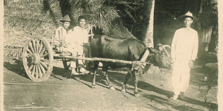 Landleute auf Saipan (Südsee)<address>© WWU - ULB</address>