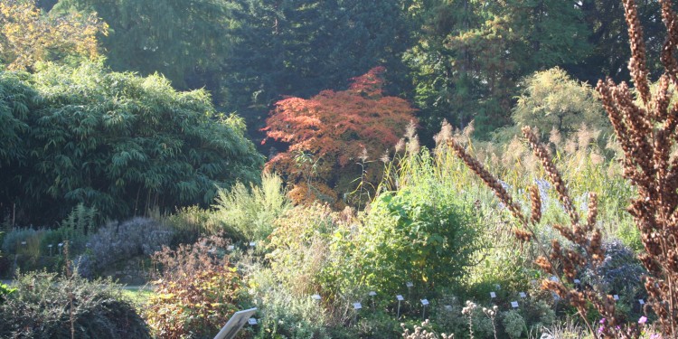 Herbst im Botanischen Garten der WWU<address>© WWU - Botanischer Garten</address>