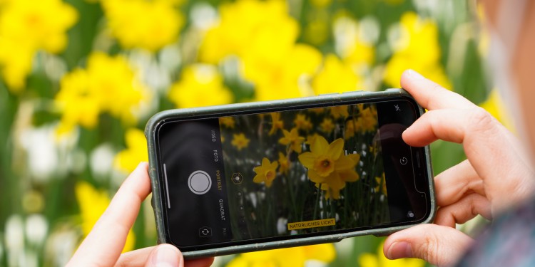 Fotoaufnahmen im Botanischen Garten.<address>© WWU - Sophie Pieper</address>