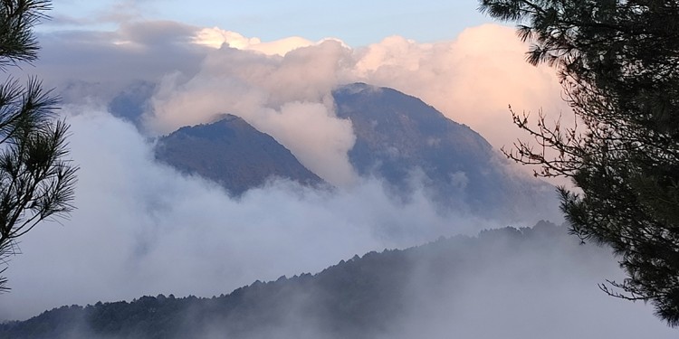 Fog frequently occurs on Mount Lulin and in other regions of Taiwan.<address>© Madeleine Falkowski</address>