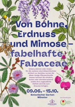 Plakat der Ausstellung „Von Bohne, Erdnuss und Mimose – Fabelhafte Fabaceae“<address>© Botanischer Garten</address>