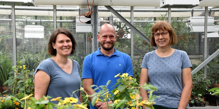 Dr. Mirja Hentschel, Dr. Dennise Bauer und Sabine Dieckmann (v. l.) arbeiten im Botanischen Garten und sind Mitglieder im Fördererkreis, der unter anderem dieses Anzuchtgewächshaus mitfinanziert hat.<address>© Uni MS - Julia Harth</address>