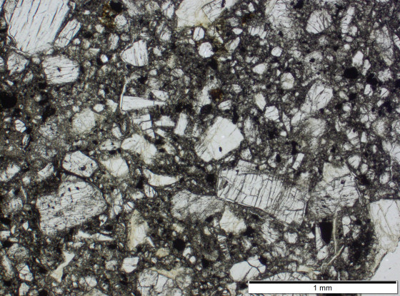 This image clearly shows the so-called brecciation of the “Ribbeck” meteorite with its solidified debris fragments.<address>© Markus Patzek</address>