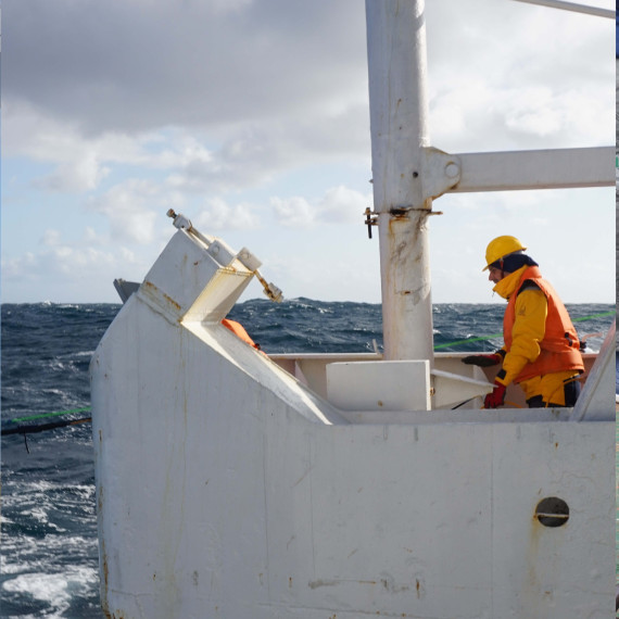 A collage of three images. The images show a man standing on the research ship, a close-up of the dredge being pulled into the sea and a close-up of the dredge.<address>© Alessio Sanfilippo</address>