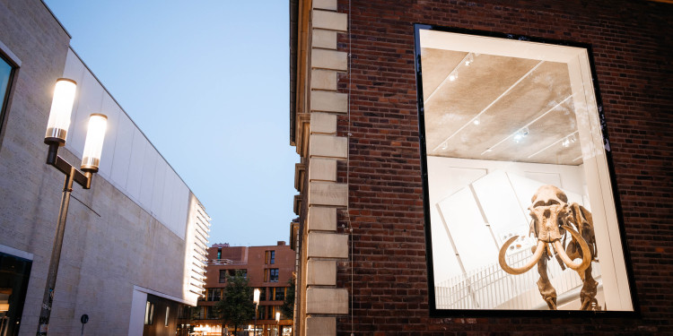 Einzigartige Exponate zur erdgeschichtlichen Entwicklung Westfalens sind im Geomuseum zu sehen.<address>© Geomuseum - Christoph Steinweg</address>