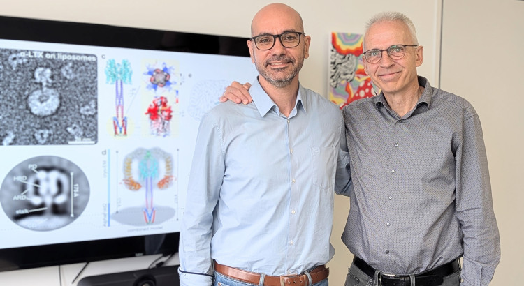 The corresponding authors of the study: Prof Christos Gatsogiannis (left) and Prof Andreas Heuer (right). The photo shows them in front of a monitor with an image of the molecular structure of α-latrotoxin.<address>© Uni MS - Elisa Schulze-Averbeck</address>