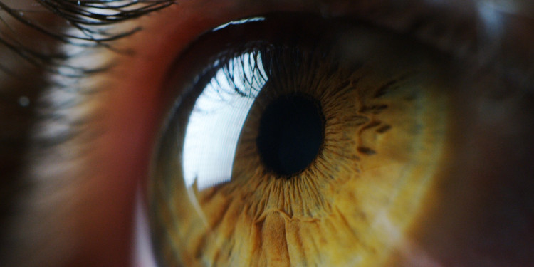 Close-up of an eye<address>© AdobeStock - Kitreel</address>