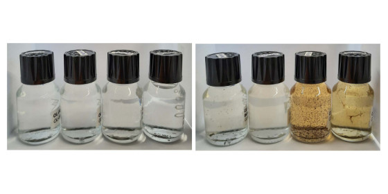 Small gas bottles with water samples. The samples have different colours.<address>© Marin</address>