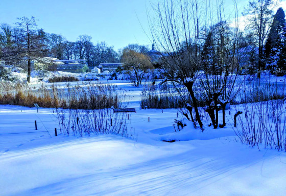 Der Botanische Garten im Schnee<address>© Botanischer Garten</address>