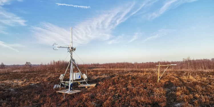 A measuring system stands in a peatland.<address>© Biosphere-Atmosphere Interaction research group</address>