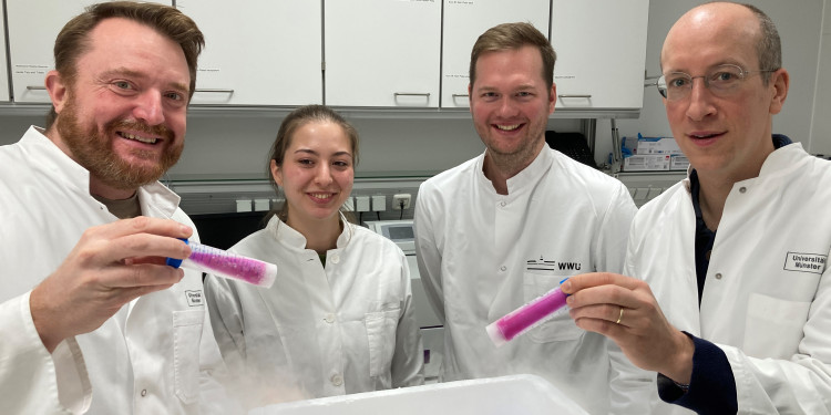 Prof. Dr. Bruce Morgan, Doktorandin Anika Diederich, Doktorand Jan-Ole Niemeier und Prof. Dr. Markus Schwarzländer (von links) im Labor mit dem aus Bakterienzellen isolierten rekombinanten Sensor-Protein (pink).<address>© Markus Schwarzländer</address>