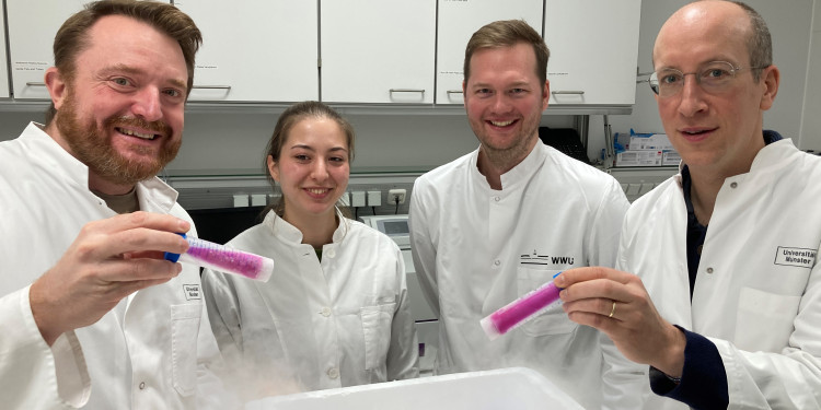 Prof Bruce Morgan, PhD student Anika Diederich, PhD student Jan-Ole Niemeier and Prof Markus Schwarzländer (from left) in the laboratory with the recombinant sensor protein (in pink) isolated from bacterial cells.<address>© Markus Schwarzländer</address>